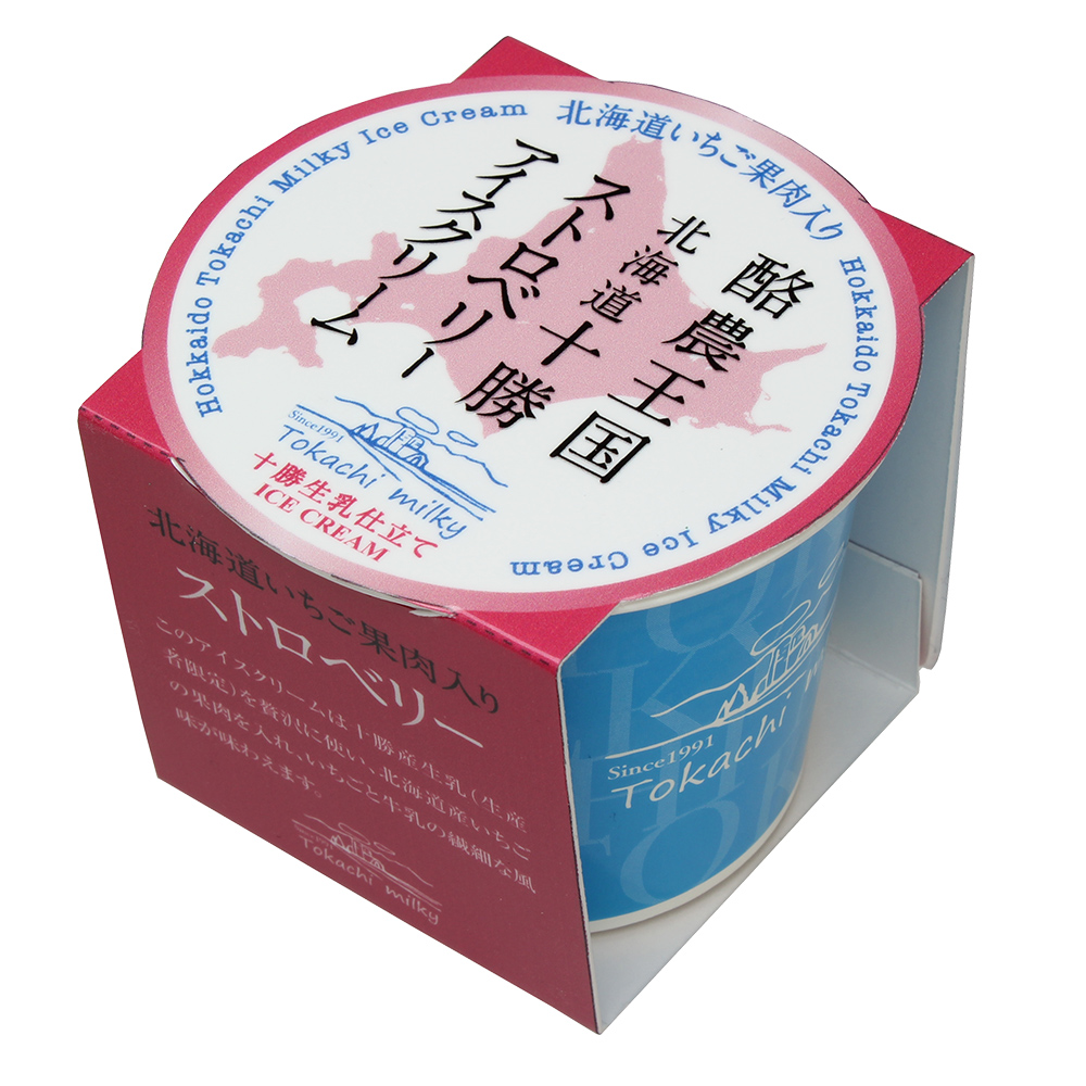 【ギフトBOX】十勝生乳アイスクリーム（ホルスタイン）100ml×10個セット