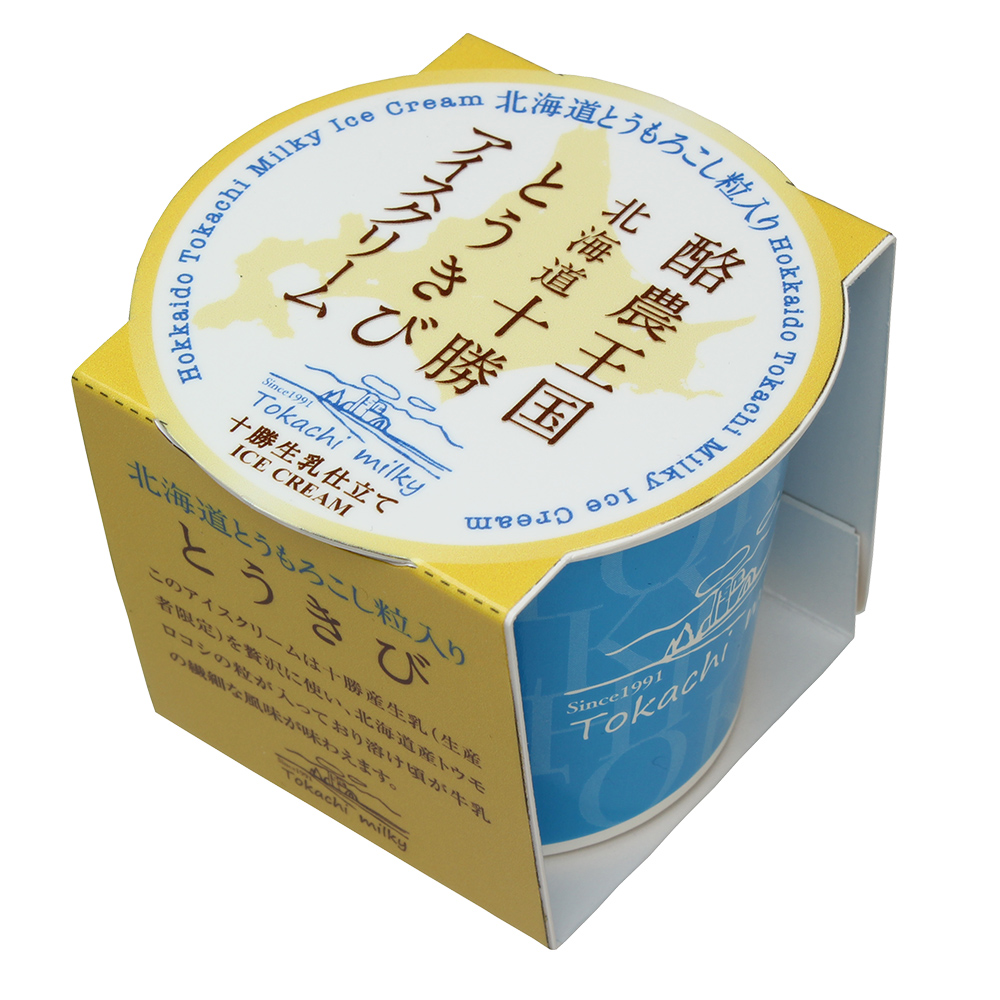 【ギフトBOX】十勝生乳アイスクリーム（ホルスタイン）100ml×10個セット