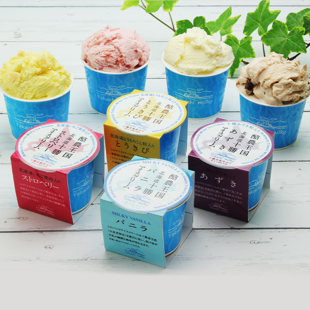 【ギフトBOX】十勝生乳アイスクリーム（ホルスタイン）100ml×10個セット