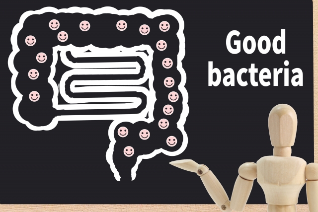 ヨーグルトには乳酸菌やビフィズス菌がたくさん！ それぞれの効能について
